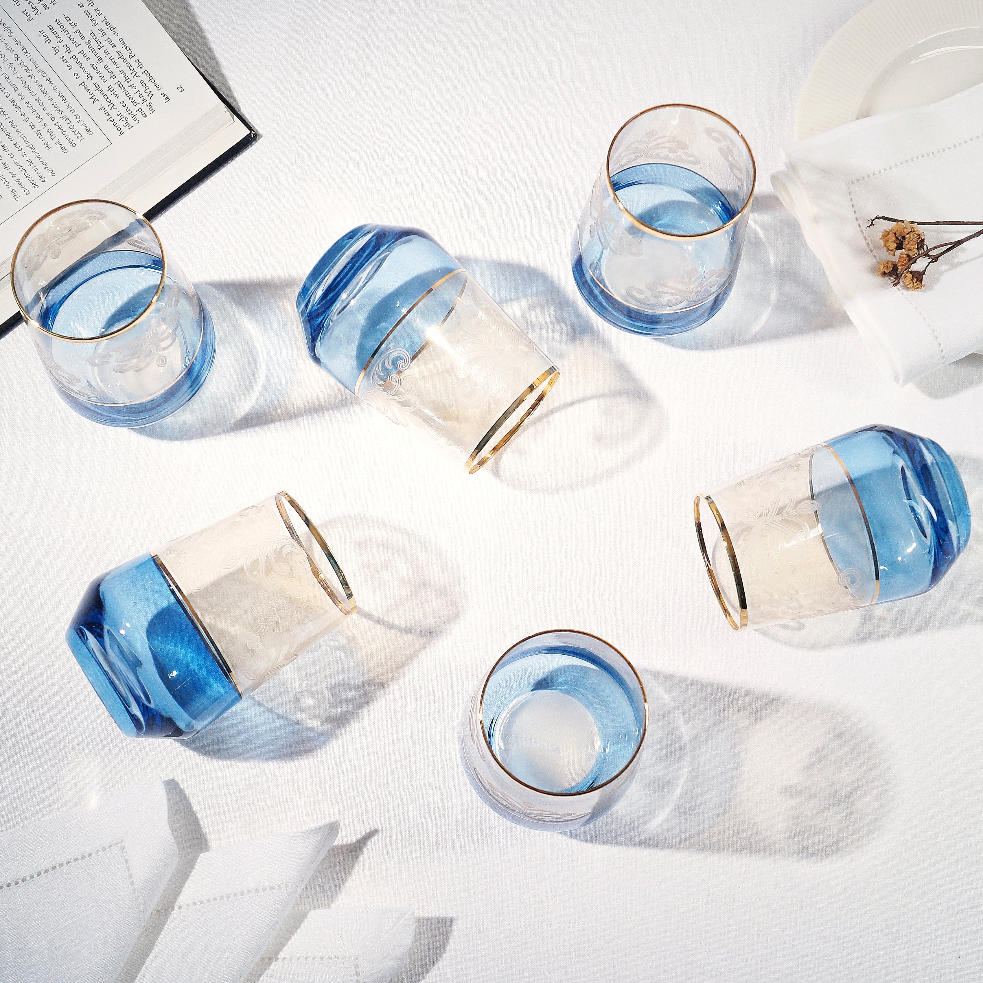 Frost Tumblr Glass - Set of 6