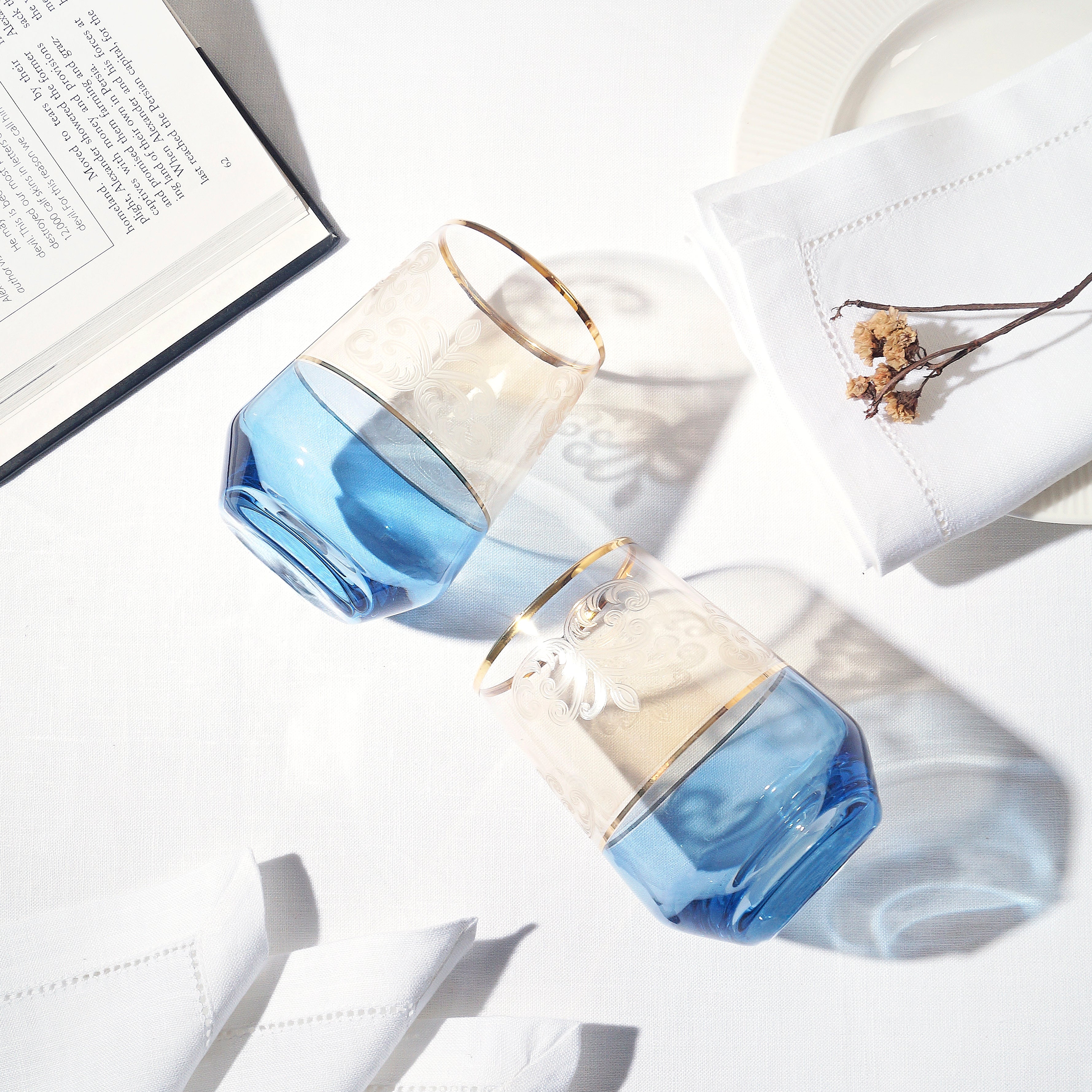 Frost Tumblr Glass - Set of 6